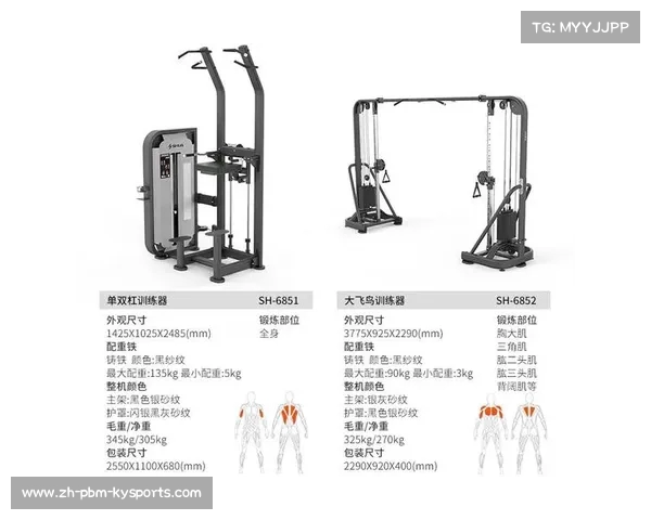 黑龙江健身爱好者私教器械清单 黑龙江健身爱好者私教器械清单